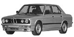BMW E28 B254F Fault Code